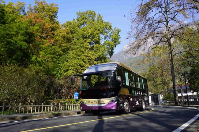 1763455141-04382cd6d5c6fa7 1763455141-04382cd6d5c6fa7